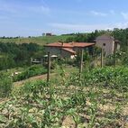 Anwesen mit Blick auf den Gemüsegarten
